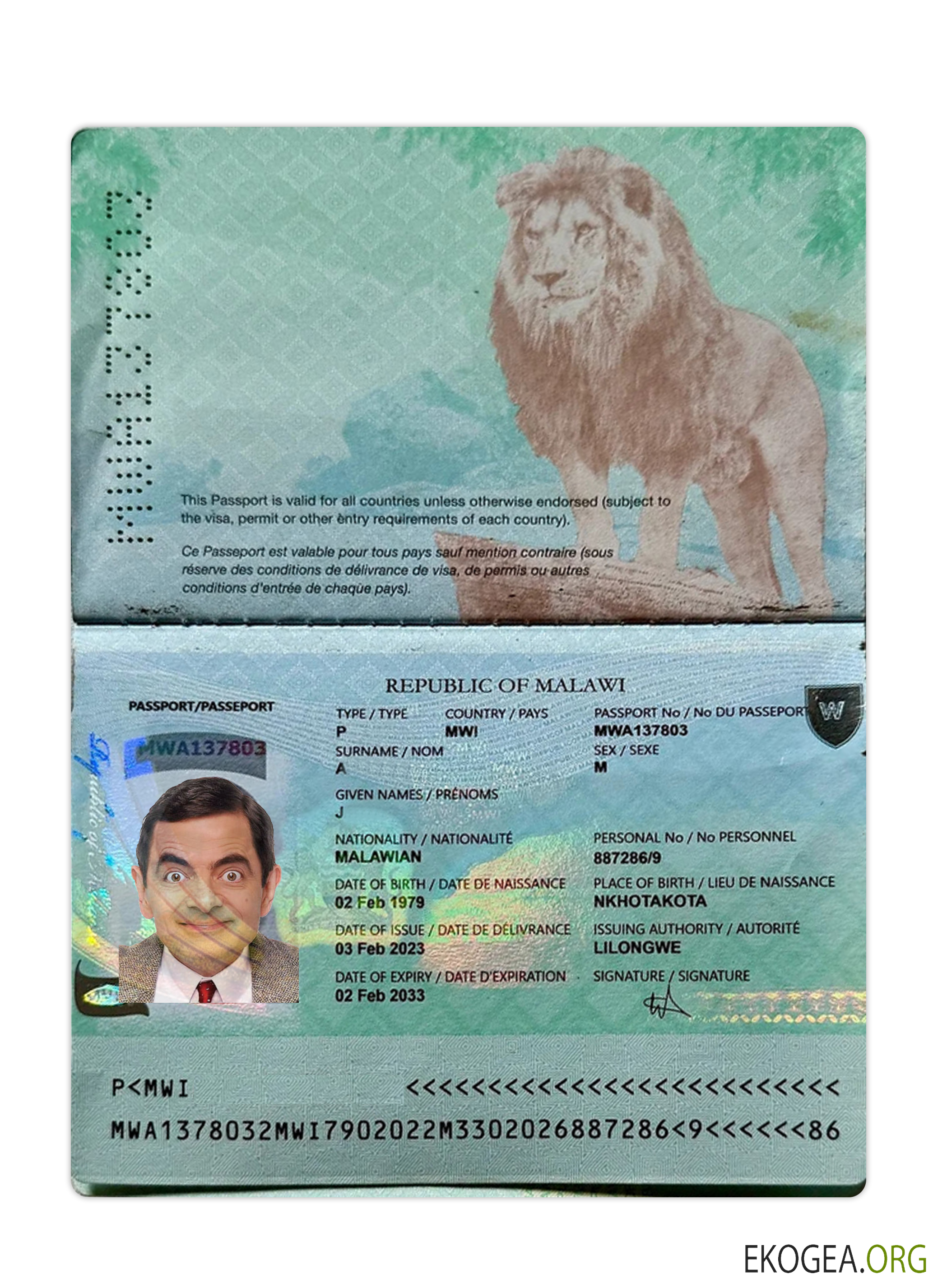 Passeport du Malawi 2023 présent